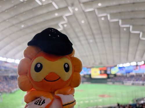 勝つ‼️⚾️