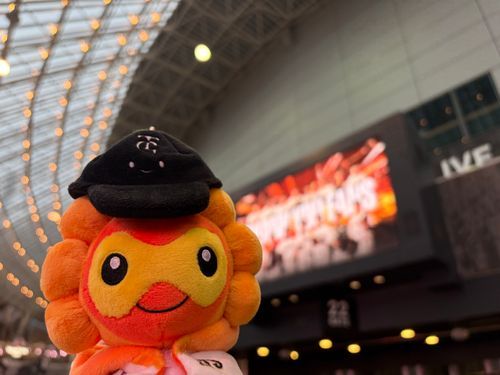 勝った❗️