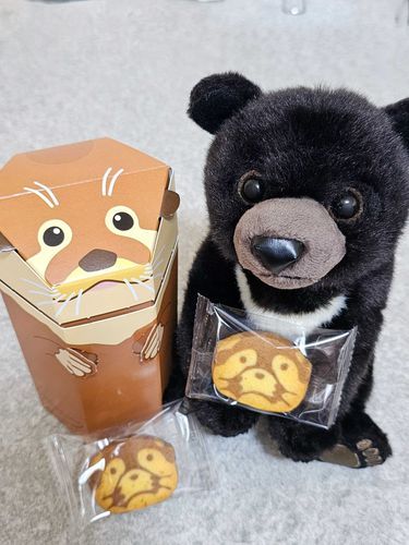 コツメカワウソのアイスボックスクッキー可愛いね🦦🍪
