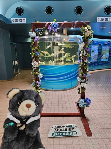 久しぶりのお出かけ
さいたま水族館がとても良かった🫧