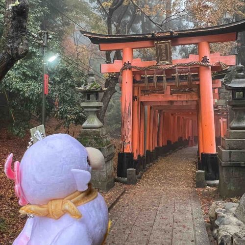 レアくんも鳥居を眺めてたよ⛩