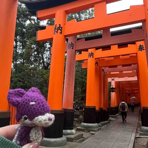 伏見稲荷に来たみたい🦊⋆*