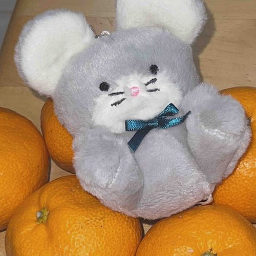( ˙꒳​˙🍊)