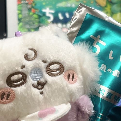 🫧島に行ってきた🏝️
モモンガｻﾝがいますが、今後はラッコｻﾝがたくさん出てくる予定ですﾖ