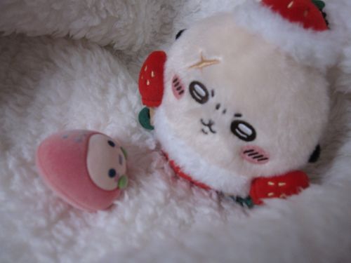 いちごっちｻﾝとはじめまして🍓💫