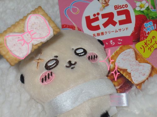 🍓リボンのビスコ🎀