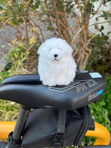 お迎えに来てもらった、わわん🐾
自転車で、風を切りながら帰ったわわん🐾
お顔が冷たい、わわん🐾

---

実は先日、一緒にお散歩をした帰りにこの子を紛失してしまい……立ち直れないくらい落ち込んでいたのですが、乗り換え駅の忘れ物センターに届いていました😢！
拾ってくださった方には、感謝でいっぱいです。ありがとうございました。

そしてボールチェーンで鞄につけるのはもうやめよう、と胸に刻みました。
大事な大事なグレートピレニーズくん、もう一生落としません！！！