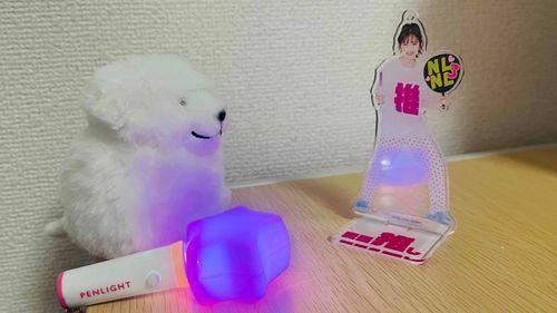 こんばんわわん🐾
今日は推し活がんばった、わわん🐾
またライブに行きたいわわん🐾
