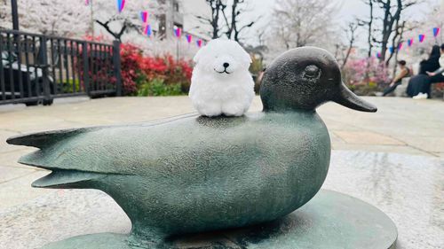 お花見に来たわわん🌸🐾
鳥さんとお友達になったわわん🐾