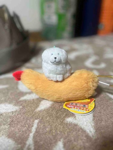 エビフライくんに乗って、世界を探検したいわわん🍤🐾