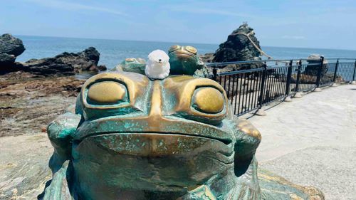 ケロケロ、わわん🐾ケロ、わわん🐾
二見興玉神社でぴょんぴょんはねるお友達ができたわわん🐾