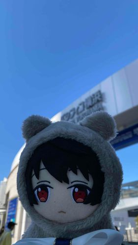 ぱしふぃこだよ〜