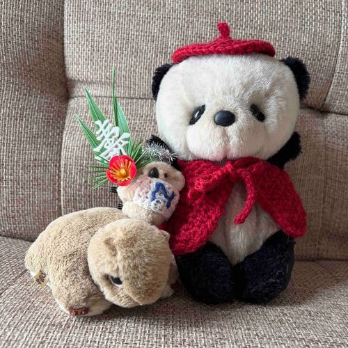 あけまちて
おめでと〜❣️
ことしもよろちくね❣️🐼

このかざりは、おもたかったですよ🐨かぞくに、もたされましたよ⁉️🐨
なげ