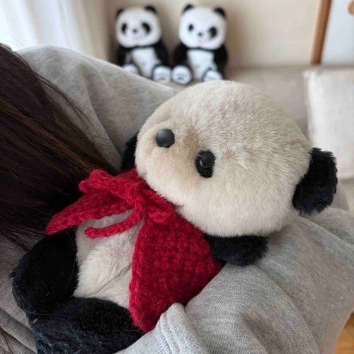 ママのこどもに
だっこしてもらった❣️🐼