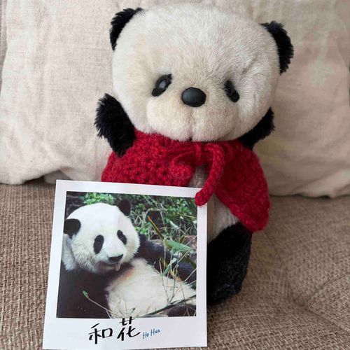 ちゅごくのぱんださん
ほーふぁ🐼ちゃんのカードだよ❣️
ママが、「ぱんだのすごいせかい」ってえいが🎬みたら
もらったんだって❣️
