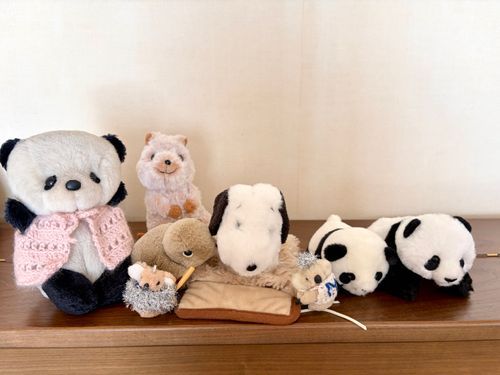 なげぴ🐨と、
ぽつちゃん🐶があそびにきたよ❣️