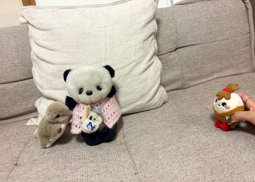 ぱんやんたち🐼🐨🍑が、しゃしんとってるとこをみてる
まいぴー🌾ちゃん❣️