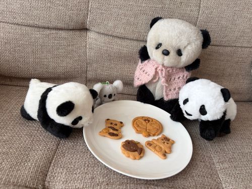 ママのこどもに
くっきーもらったよ❣️
ぱんださん🐼のくっきー、だれがたべるかそうだんちゅう❣️🐼🐼🐼🐨