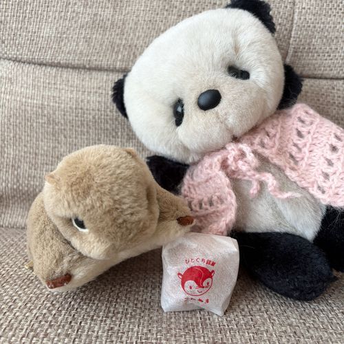 くまもとのおかし
ぽんぽこ 
ちょしちゃんもたべたいって❣️