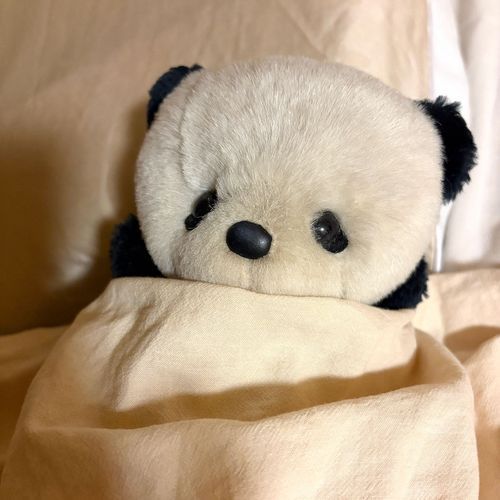 おやちゅみ〜🐼💤