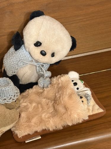 なげぴ🐨と、まきちゃん🐨
ねかしつけしたよ❣️