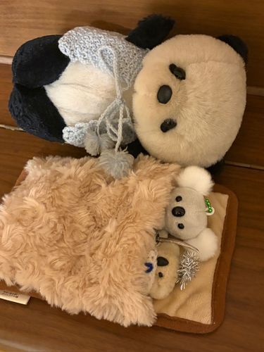 ぱんやんもいっしょに
ねんねしたよ❣️🐼🐨🐨