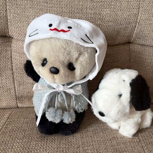 おばけ👻のかおがよくみえるように、もういっかいおしゃしん撮ってもらったよ❣️
こんどは、ぽつちゃん🐶といっしょ❣️
