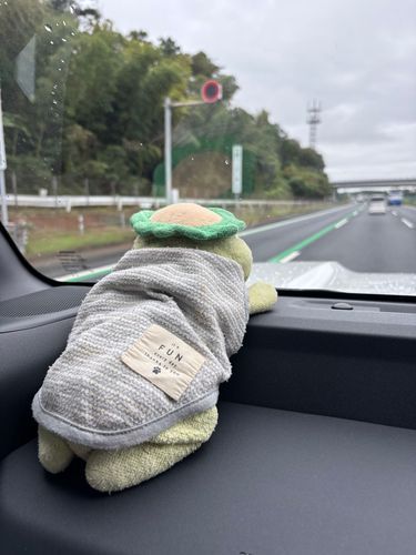 今日は早起きしてお出かけしてます。雨降らないといーな。