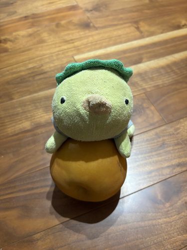 こんな大きな梨頂きました