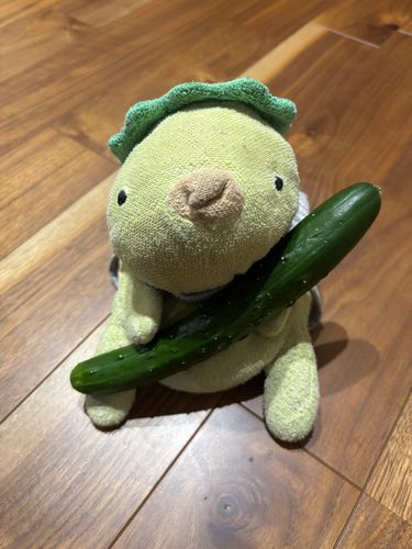 1本75円だったから1本だけ買ってもらった😛
