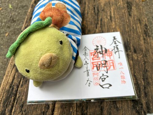 今日のお出かけ。