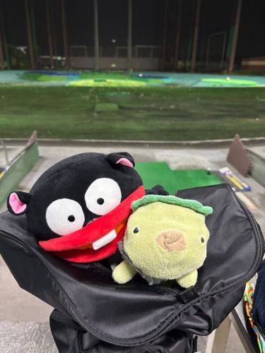 今日も練習にきました。なぜかゴルフバックに入れられてしまったけど中にお友達がいたー！