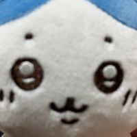 ハチワレ