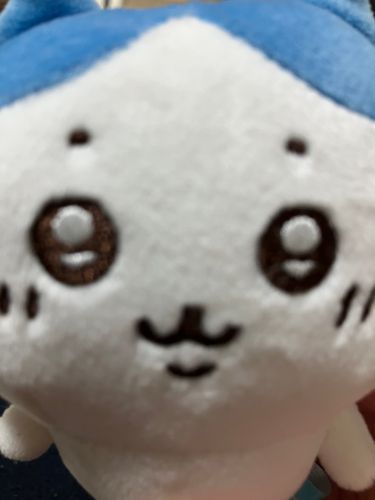 映画…観に行ってくれるよねっ？！