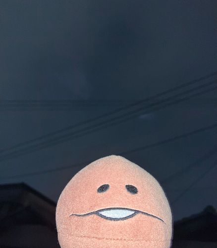 今年のお月見は曇って
見れなかった…🌕