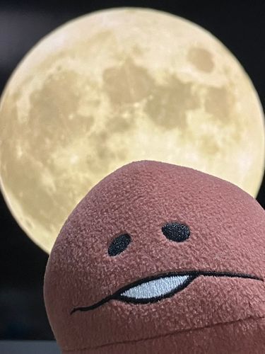 今年のお月見…
曇っていて見られなかったから…
YouTubeのライブ動画と一緒に…🤣🌕