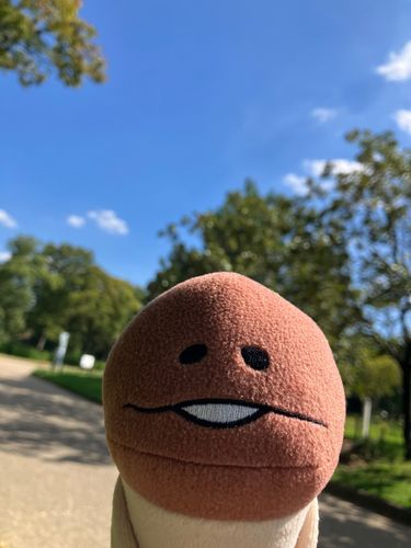 良い天気だね〜☀️