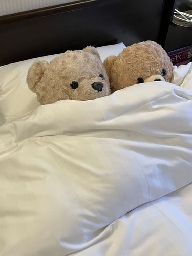 旅行で、泊まったホテルです。