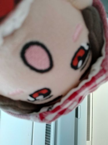 ふつうじどりて、うえからとるんちゃうの？てきいたらぜんぶかわいいからこれでとってってぬしが😏ほんまにはやってるん？これ