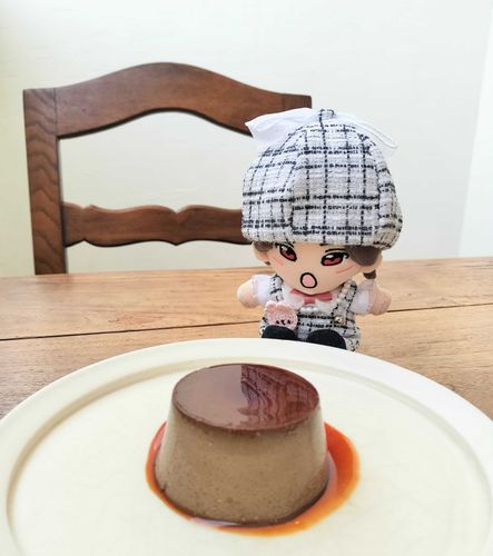 これはぬしとたべたぷりん🍮
ふつうのやなくてほうじちゃの味がすんやで！うまかった😊