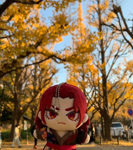 きょうは　もちぬしにつれまわされました
はじめてのおでかけだったので　ちょっちきんちょうしましたね
