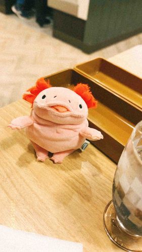 ファミレス🍽