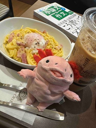 カフェで休憩(｡-_-｡)
美味しそうだねはるち💕︎
