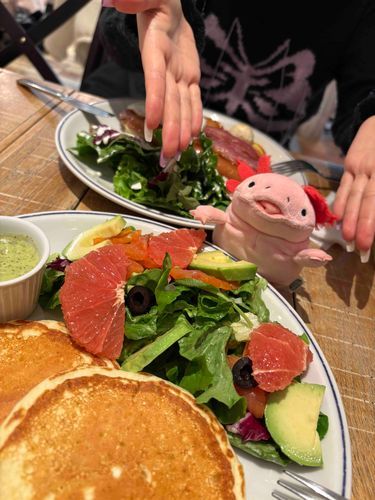 パンケーキ𓌉🥞𓇋 ‎
嬉しそうだねはるち(*^^*)