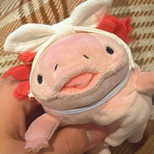 新しいカチューシャ買ってもらえて、嬉しいねはるち♥️