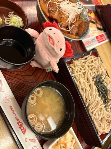夜ご飯🌙🍚
美味しいね♥️