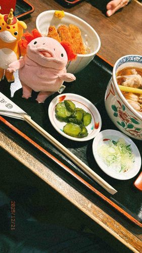 新しいお友達と仲良くお蕎麦、美味しいね(*´༥`*)♡
