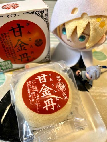 富山のみやげももらった。
もふもふきじにカスタードクリームが入っていて、すごくうまい。
