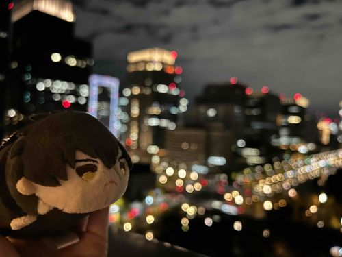 きょうは俺が「げんだいえんせい」の近侍だ。
よくわからねぇが、ここがすごく街の中だってことは、わかるぜ。