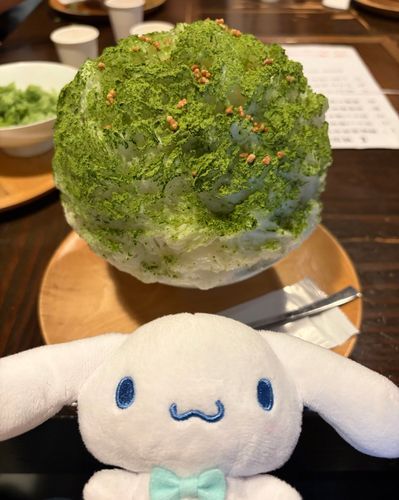 連休中はふわふわかき氷を食べたよ〜！